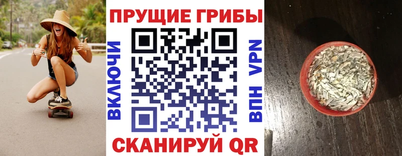 купить наркотики сайты  Канск  darknet какой сайт  Псилоцибиновые грибы Magic Shrooms 