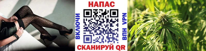 Бошки марихуана сатива  Канск 